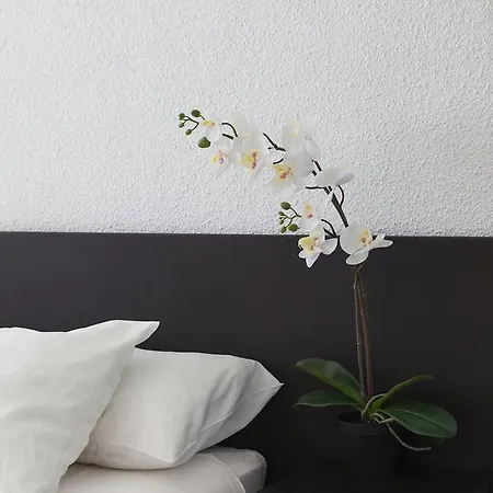 Homestay szállás Ananda *